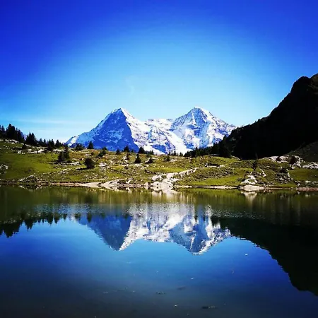 Prázdninový dům Swisshut Modern 10min West Station - Markt